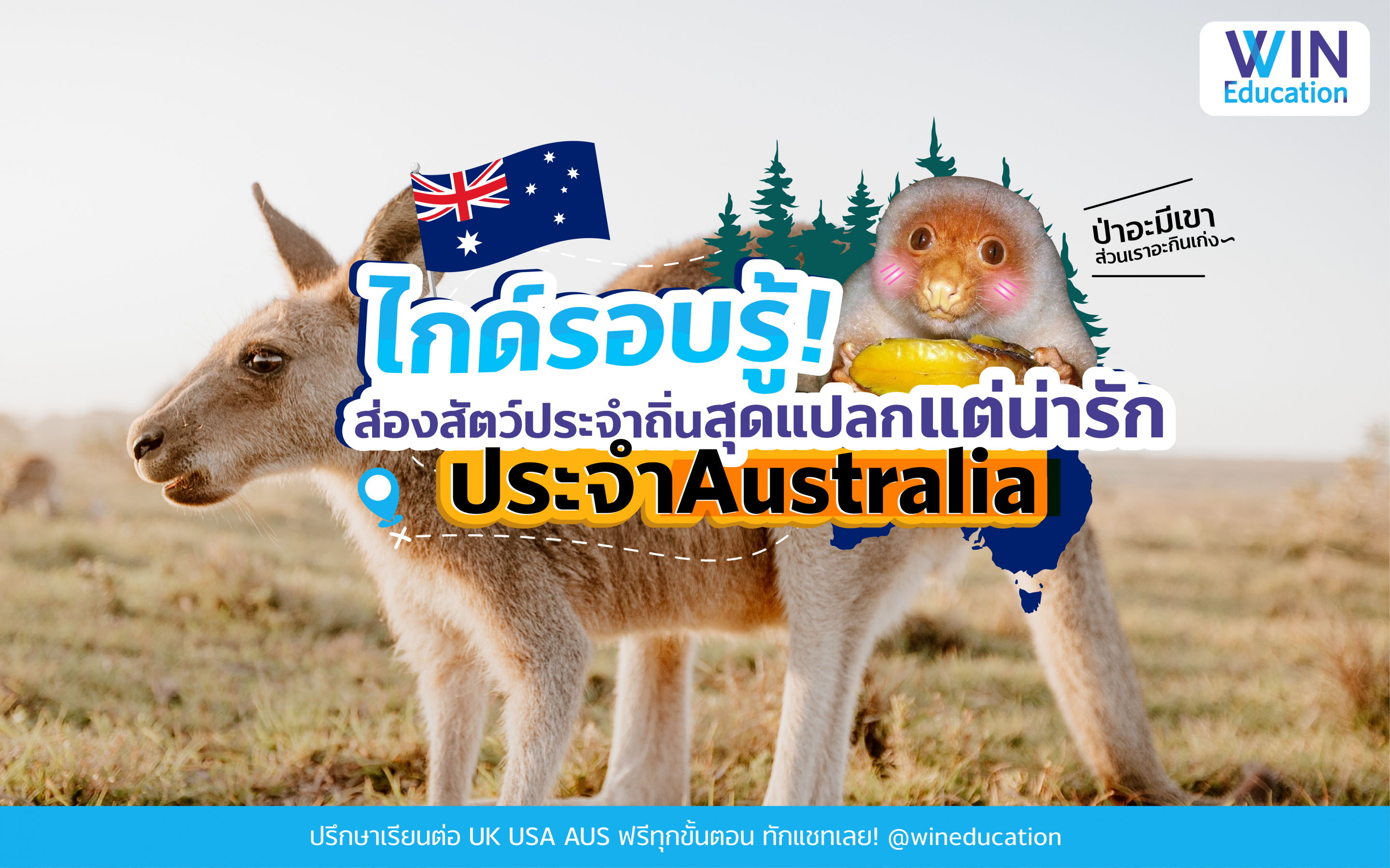 ไกด์รอบรู้! พาไปดูสัตว์ประจำถิ่น Australia ชื่อแปลกสุดน่ารัก